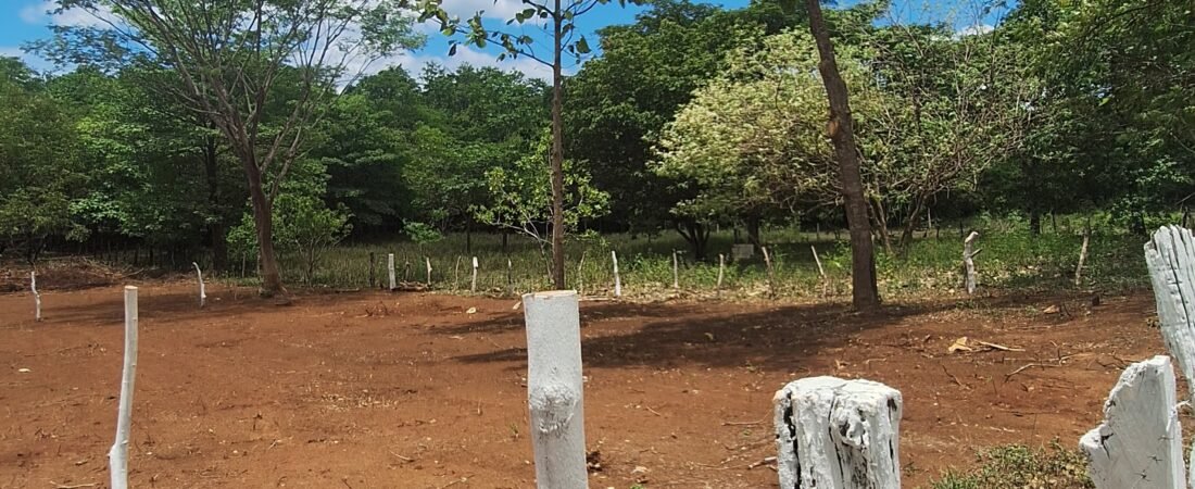 1000 m² Lot for Sale in Matapalo Costa Rica | 15 Minutes from Tamarindo Beach